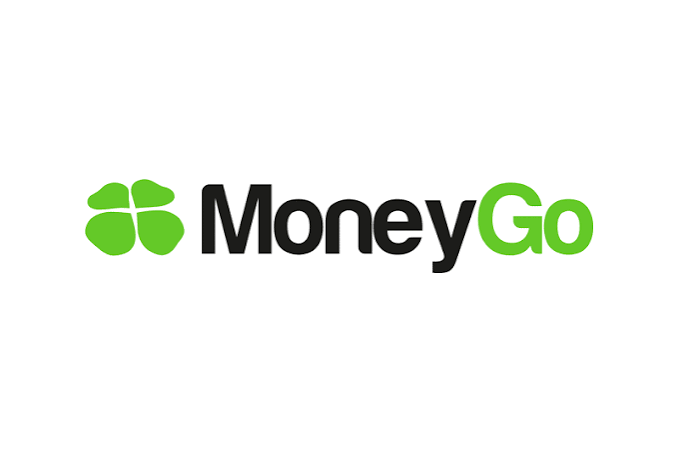 Partnerlogotyp 6